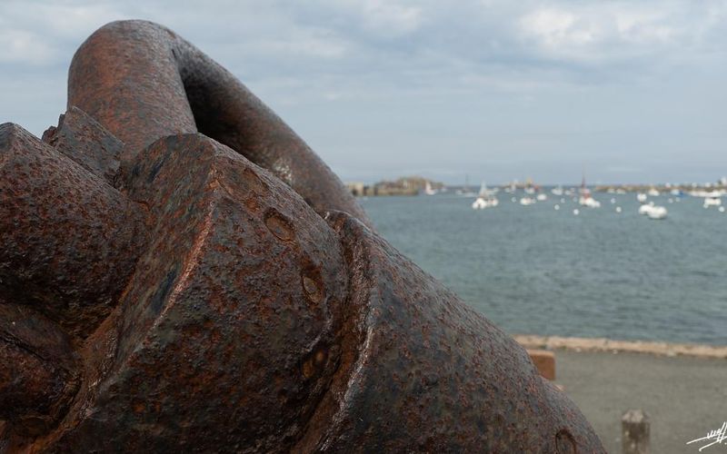 Roscoff : Le regard dans le vide ... 