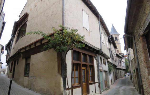 Lautrec dans le Tarn (81) -2