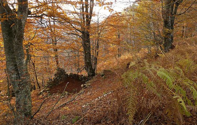 Paysages des Pyrénées (Année 2008)