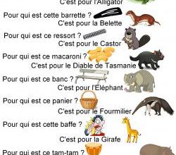 ABéCédaire des animaux : documents annexes