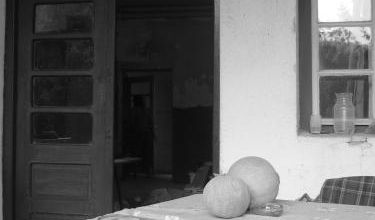 Chalet de montagne - Grza.