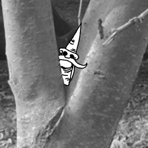 Pastel Games - 10 Gnomes - épisode 2: walk in the park