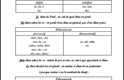 Déterminant: leçon et évaluation