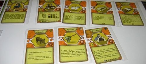 Challenge d'Agricola : deck K – partie 7
