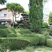 Sortie du 21/5/11 aux Pivoines Rivière et Jardin Zen - Le Monde de Luby