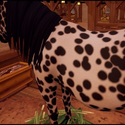 Quand entraînement rime avec détente