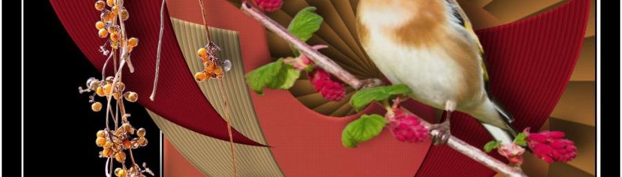 Ma petite mésange traduit par LisT