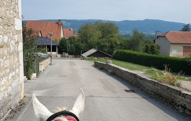 Le 26 août 2025 Balade avec Shiloh