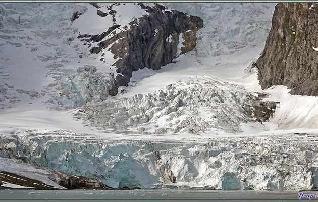 Tout le monde de retour sur le navire, le Commandant nous offre une navigation scénique devant le glacier Samarinbreen. L'après-midi ce sera le glacier Hansbreen, mais vu la météo et les jambes lourdes de la rando, de notre côté nous resterons à bord - Fjord Hornsund- Spitzberg - Svalbard - Norvège