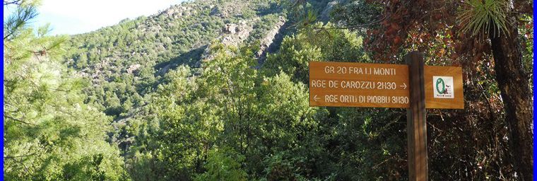 Corse, forêt de Bonifatù, la boucle de Finocchi