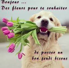 Proverbes illustrés