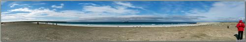 Panorama de la plage Volunteer Point vue côté terre : on y aperçoit quelques manchots, des "pingouins rouges" et l'Austral au mouillage - Falkland Islands, Iles Malouines, Islas Malvinas