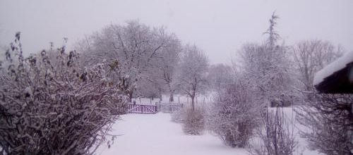 Journée neigeuse