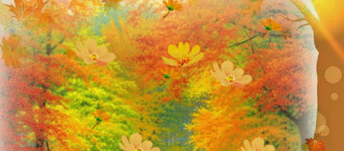 L AUTOMNE CHEZ MOI