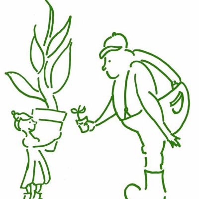 11 mai 2025 - troc de plants - dixième édition