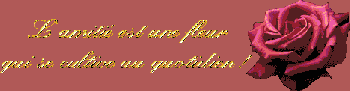 Pensées