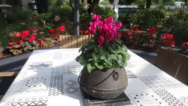 La Fleur de la Fin de Semaine