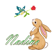 746 - Lapin et oiseau -