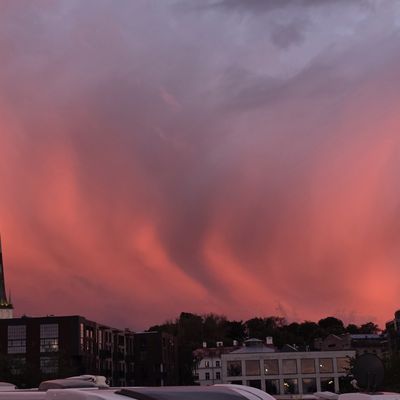 Bilan du voyage en Pologne et Pays Baltes