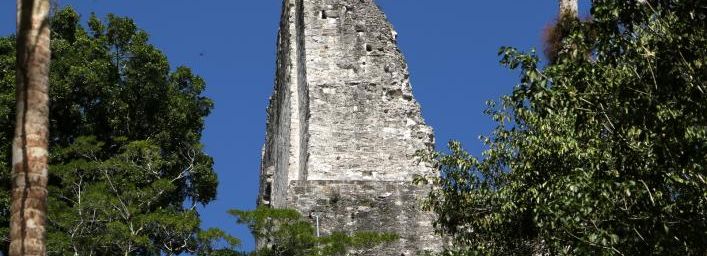 Premiers pas sur le site de Tikal 