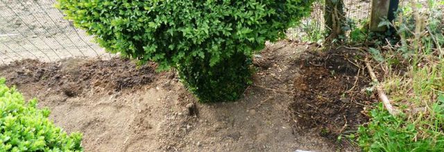 Observations au jardin