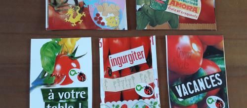 ATC : série "Tomates"