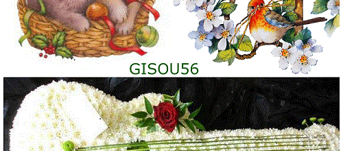 GUITARE ET ANIMAUX