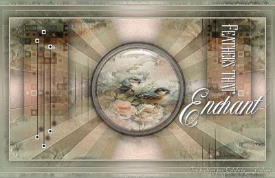 Feathers that Enchant