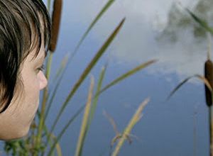 The Pond. 2008. HD.