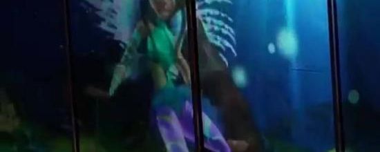 Sirenix originel