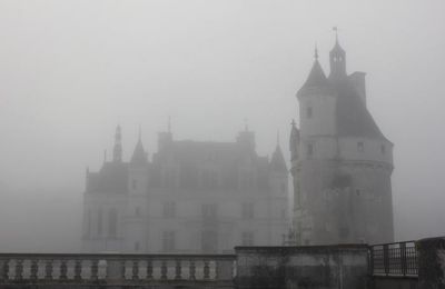 Arrêt sur image