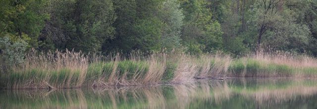 Les marais de la tranquillité