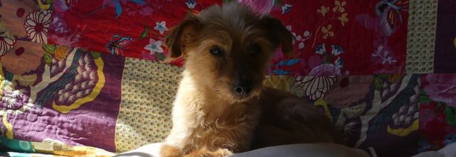 Peetite balade au parc