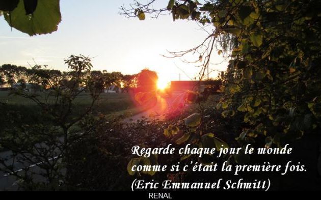Le monde