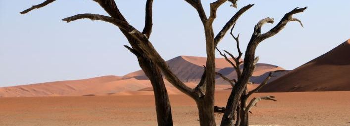 Deadvlei la célèbre cuvette d'argile blanche