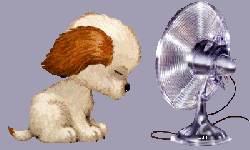 Avez-vous eu très ......