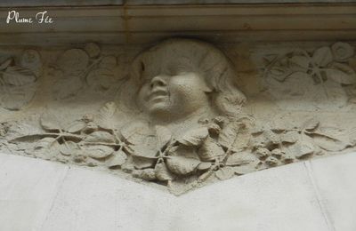 Les Ombellifères du Café Roussillon