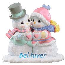 saison hiver, froid,hiver,neige