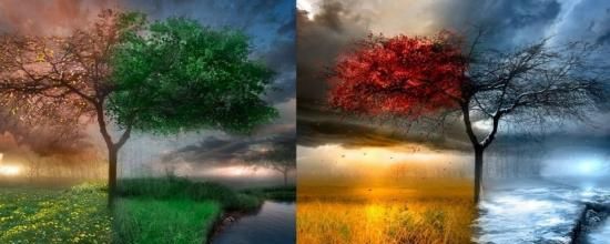 Il n'y a plus de saisons