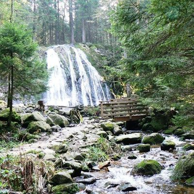 RANDONNEE CASCADE DE LA PISSOIRE (Vosges - 88) 