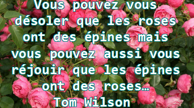 Vous pouvez vous désoler que les roses ont des épines