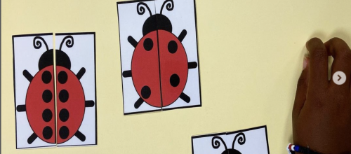 coccinelle symétrie