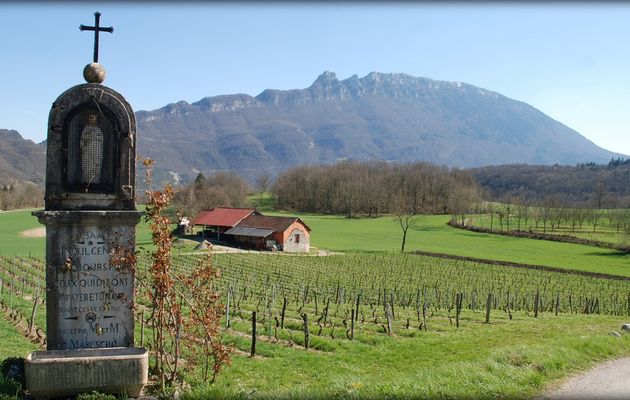 Sous l'oeil de la dent #2