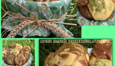 COOKIES MARBRÉS VANILLE ,CHOCOLAT,PISTACHE