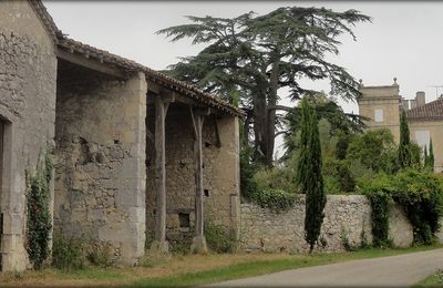 Saint Jacques 2015, de Castelnau/l'Auvignon à Larressingle: 20 Km #1