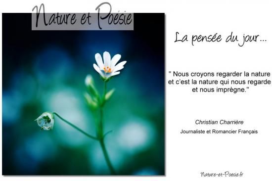Citations en images: La nature
