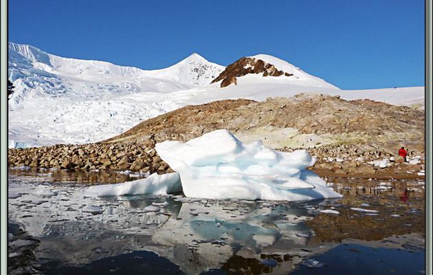 Tout seul, face à la sérénité des lieux, un "pingouin rouge" est perdu dans ses pensées... - Plage de Neko Harbour - Paradise Bay - Péninsule Antarctique