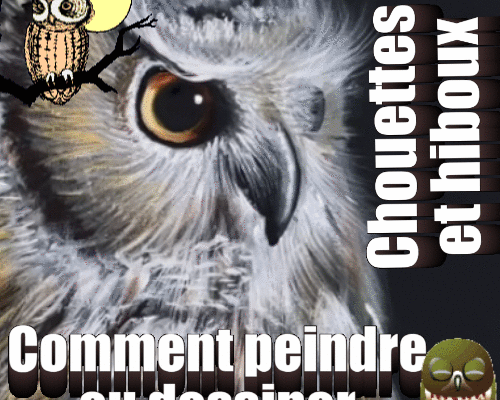 Dessin et peinture - vidéo 4048 : Comment peindre ou dessiner, chouettes et hiboux ? - huile ou acrylique.