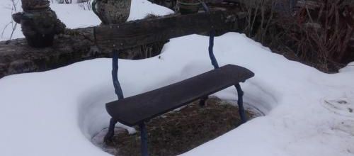 Bientôt le printemps ?