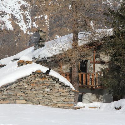 Bessans, Haute-Maurienne, fév. 2025 : en bleu, blanc, gris